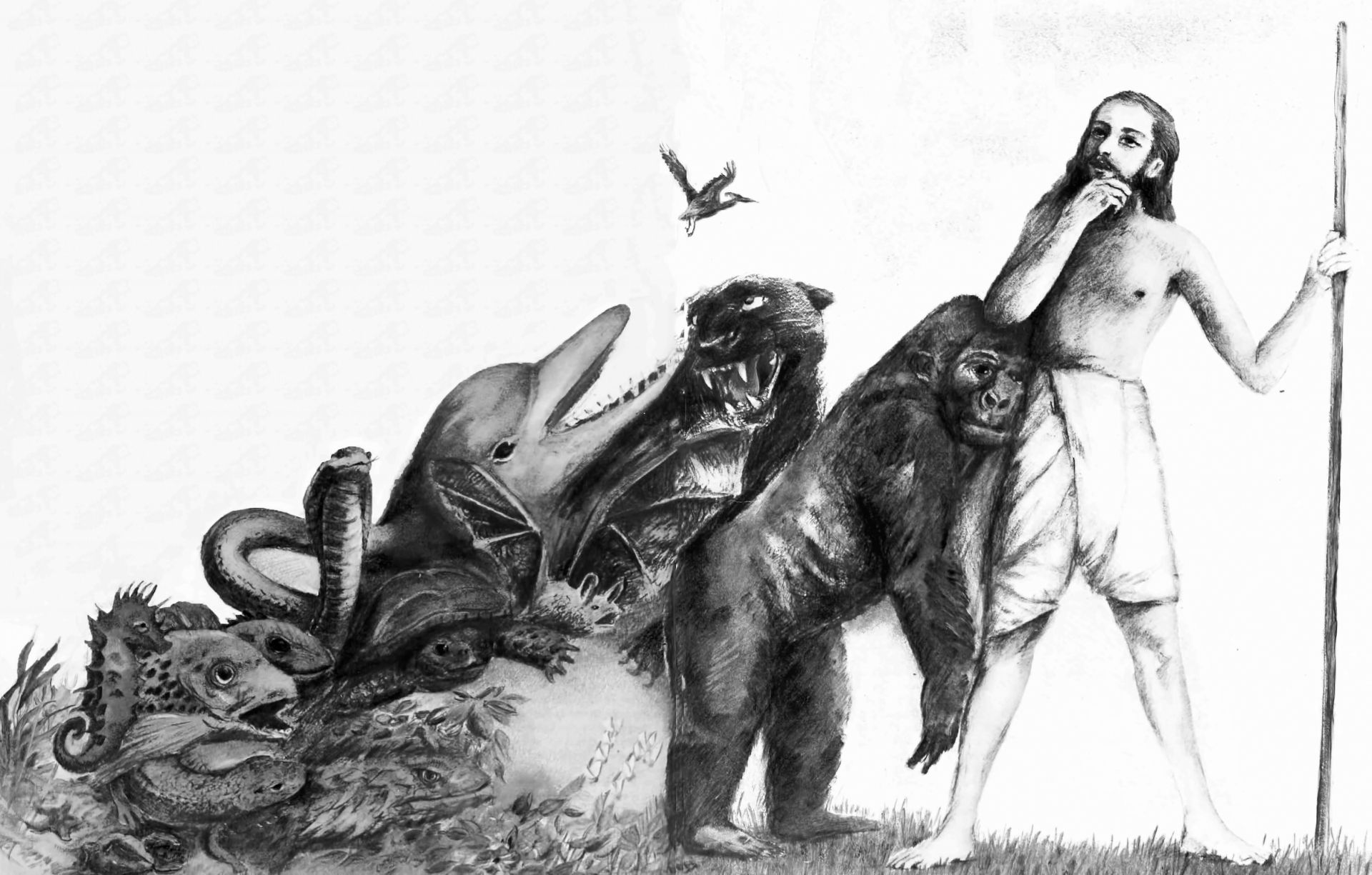 Imagen del Artículo